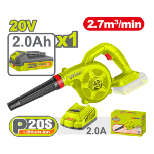 Sopladora Inalámbrica 20V DYLLU (1 Batería y Cargador)